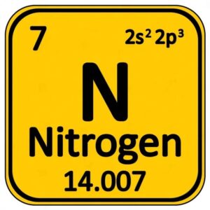 Nitrogeno _Industrial x m3